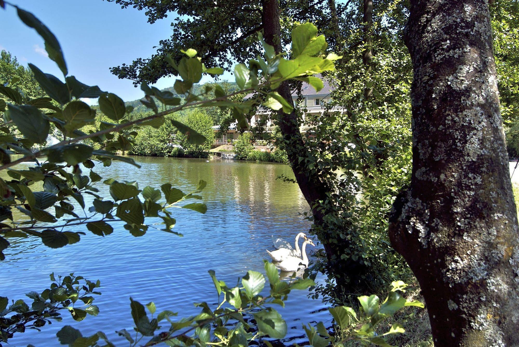 Hotel Les Rives Guebwiller Zewnętrze zdjęcie