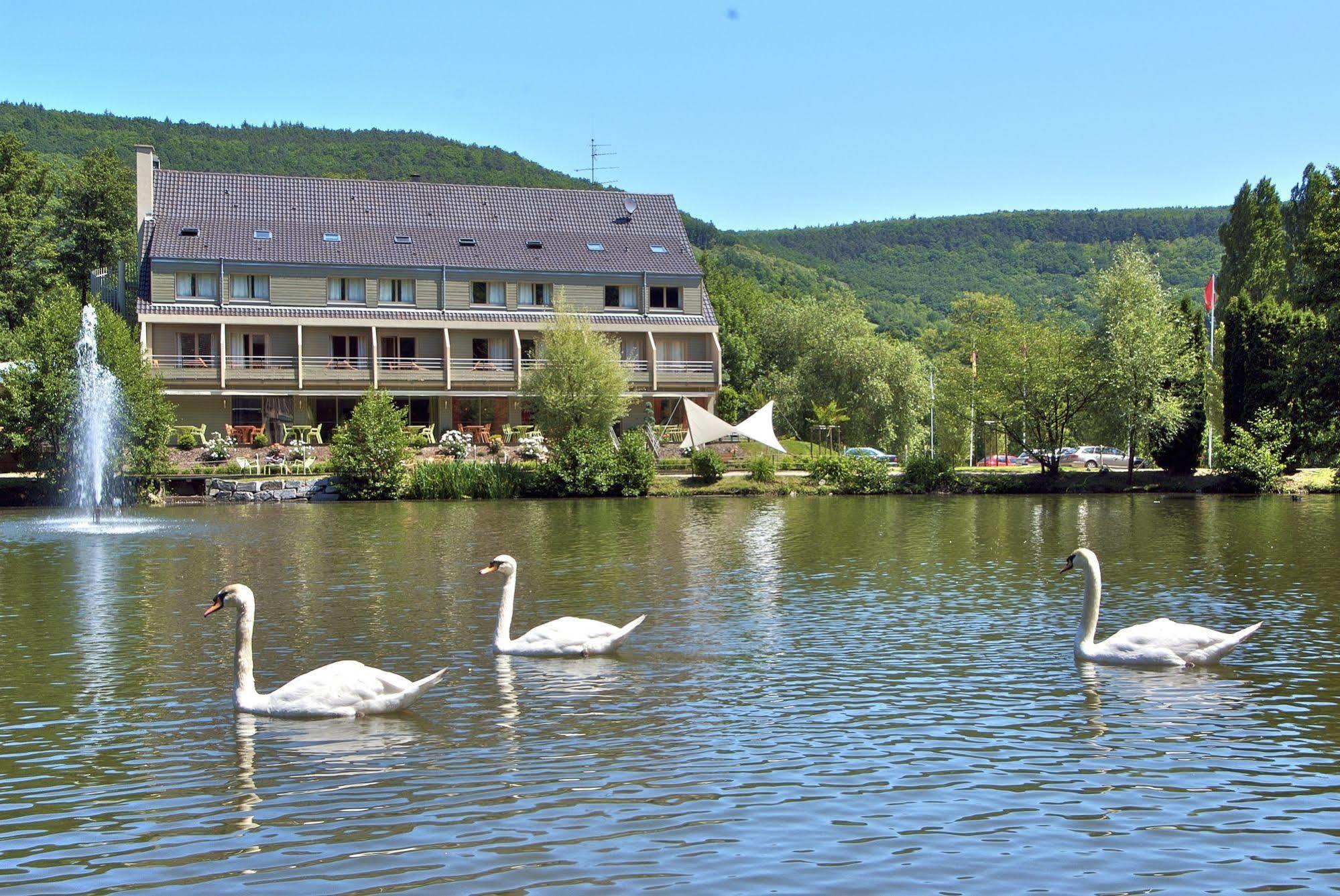 Hotel Les Rives Guebwiller Zewnętrze zdjęcie
